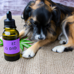 Czy Olejek CBD może być skutecznym leczeniem padaczki u psów?
